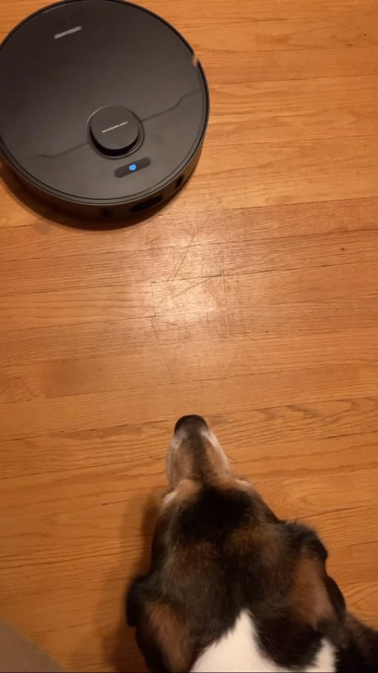 dreame D30 Ultra CE Robot Vacuum and Mop, 25,000Pa Powerful Suction | 0.41in Mop Lifting, Multifunctional Base Station, Auto Dust Emptying & Mop Self-Cleaning, Smart Obstacle Avoidance, White customer photo 2
