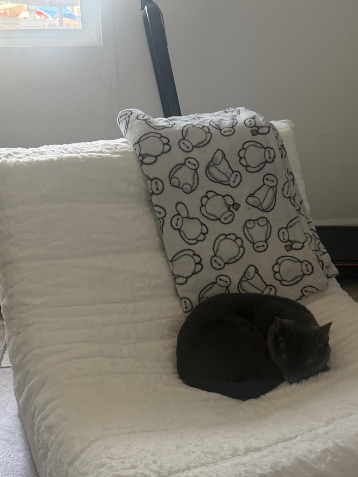 Hobestluk Small Bean Bag Chair Fireside Floor Chair BeanBag Couch Togo Sofa - Ergonomic Design, Memory Foam, No Assembly, Faux Fur Comfy Lounger with Back Support for Gaming Playroom, Bluegrey Plush Small customer photo 2