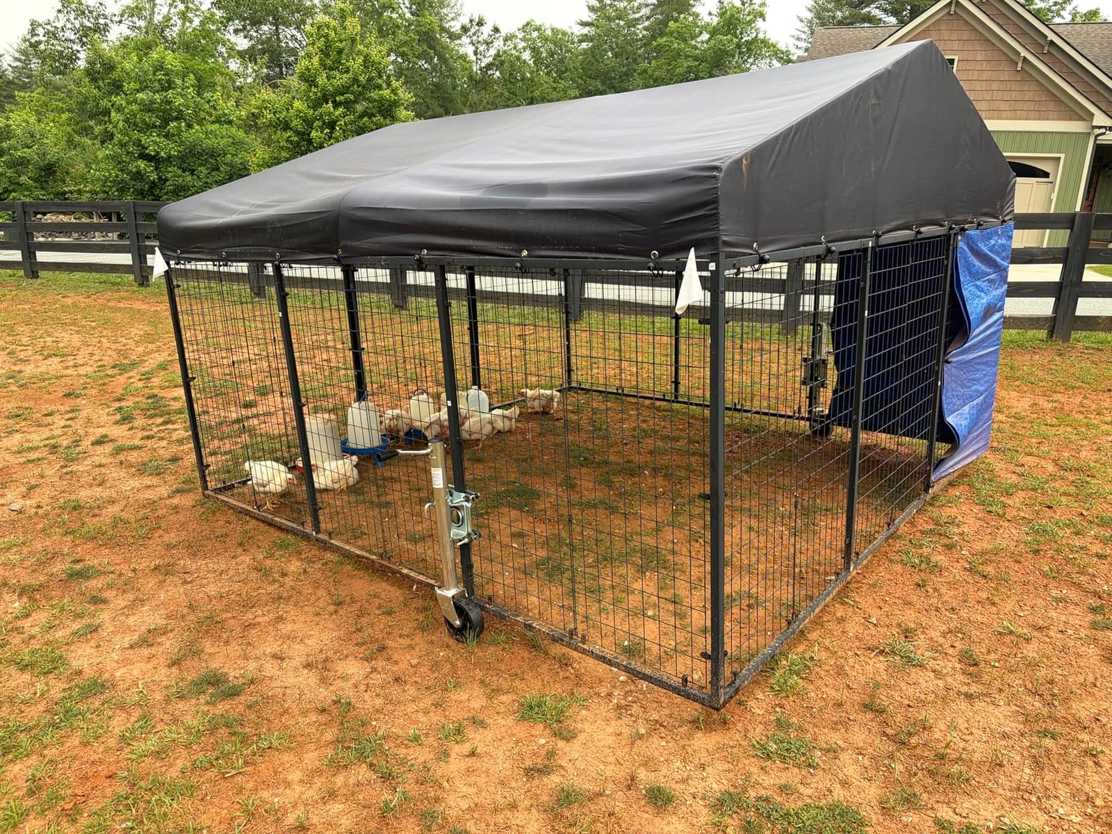 Petony Large Outdoor Dog Enclosure, Heavy Duty Dog Kennel with Roof, Galvanized Steel Dog Cage Fence with Double Safety Locks (6.56'x 6.56') customer photo 1