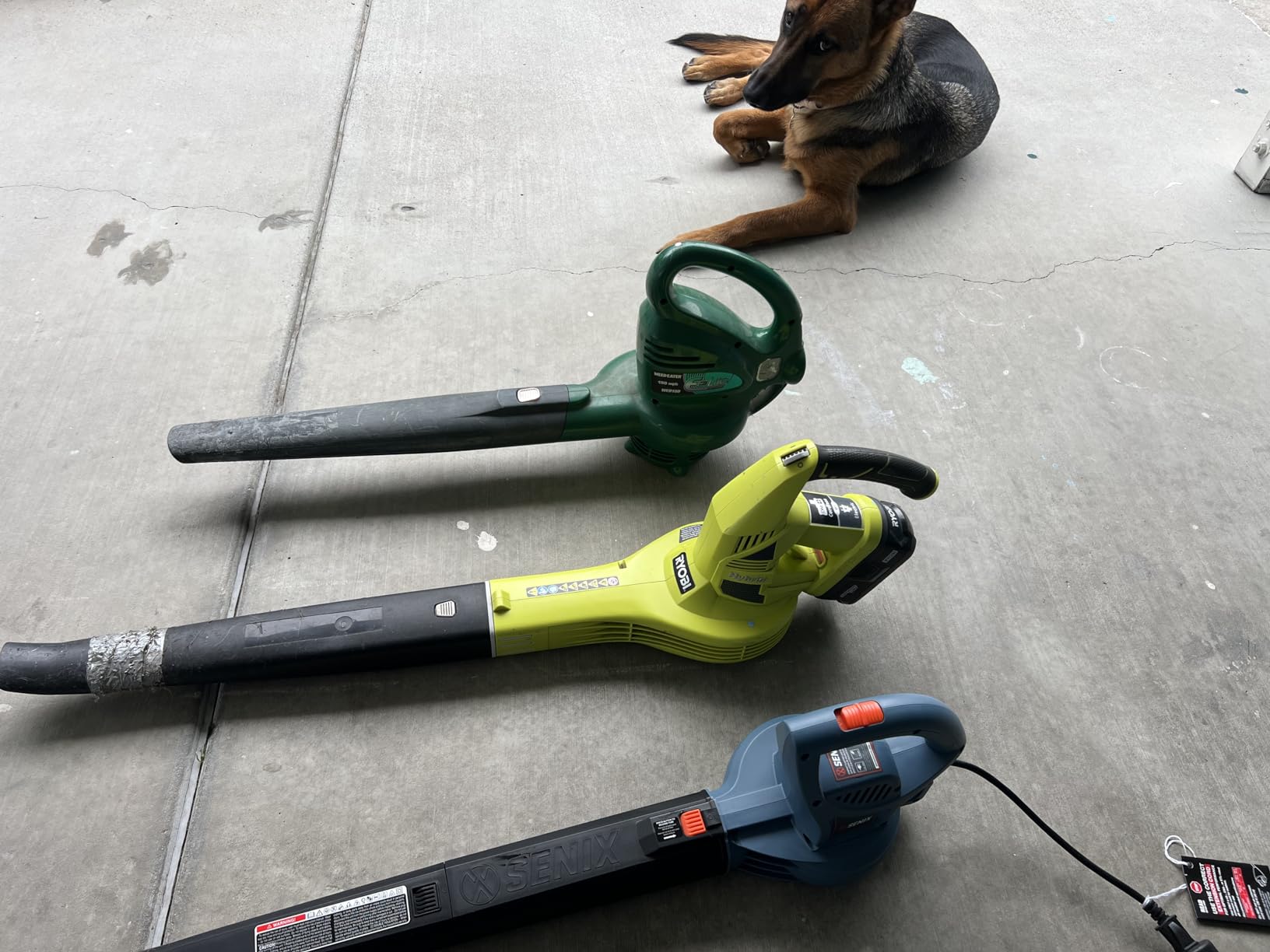SENIX 3-in-1 Corded Leaf Blower, Leaf Vacuum and Mulcher, 420 CFM & 179 MPH | Electric Blowers with Reusable Collection Bag for Garden,Yard customer photo 1