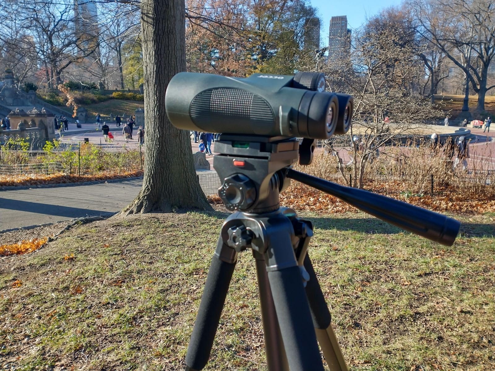 12x50 Binoculars for Adults Cruise Ship Travel Outdoor High Powered Gift | Large 50mm Objective Lens, Easy Focus, Low Light Vision, Clear Image for Bird Watching Hunting Concert Stargazing customer photo 1