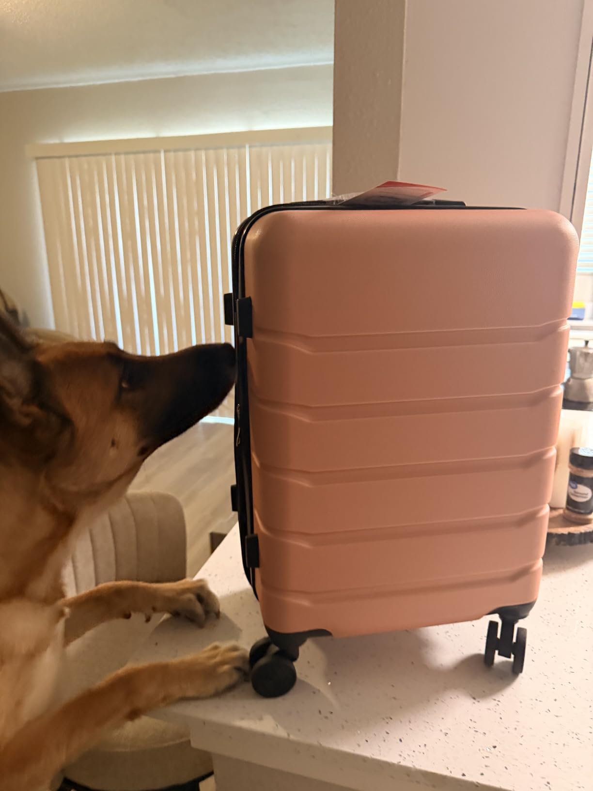 28 Inch Checked Luggage, Suitcase with Spinner Wheels customer photo 1