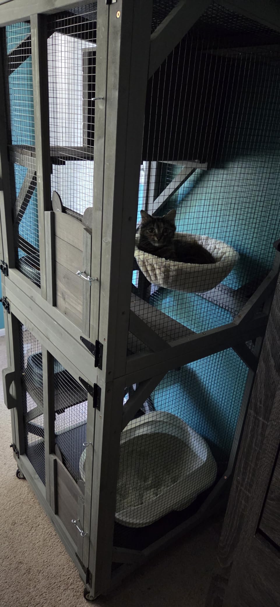 Aivituvin Window Catio Outdoor Cat Enclosure Super Large Walk in Cat House with 6 Platforms and 2 Scratching Posts for Cats, 104