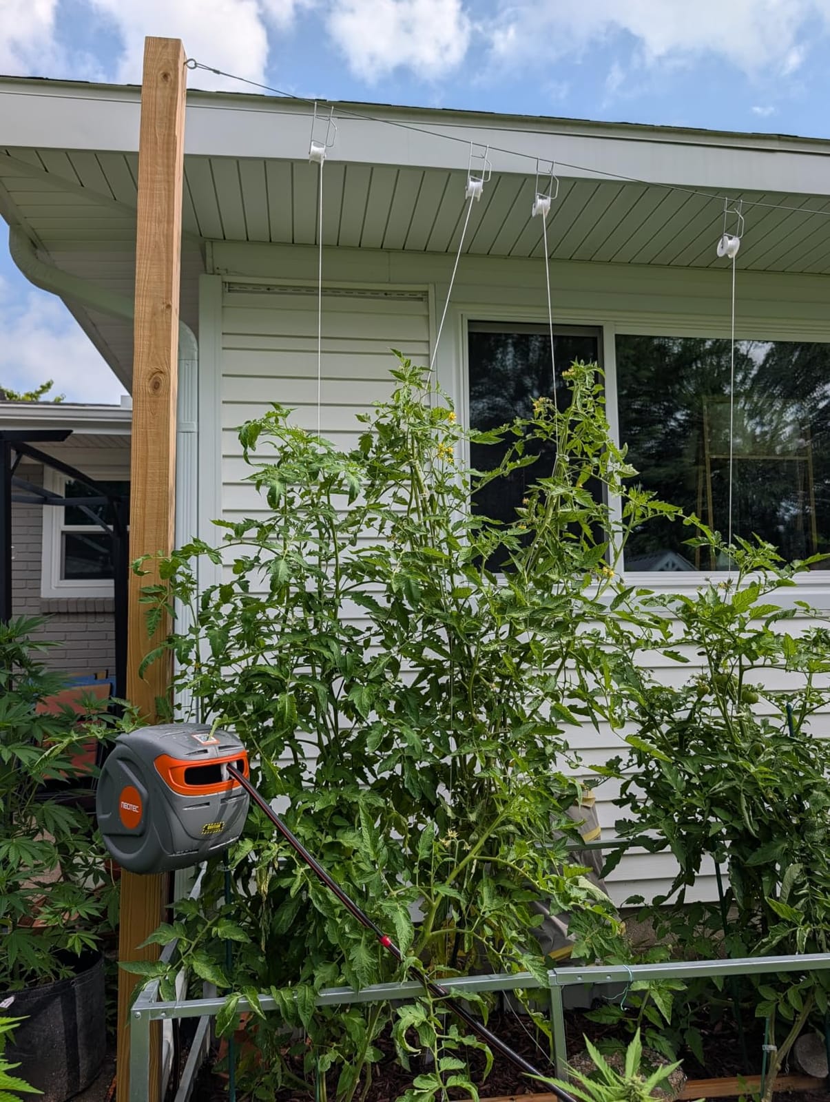 Upgraded Retractable Garden Hose Reel 1/2