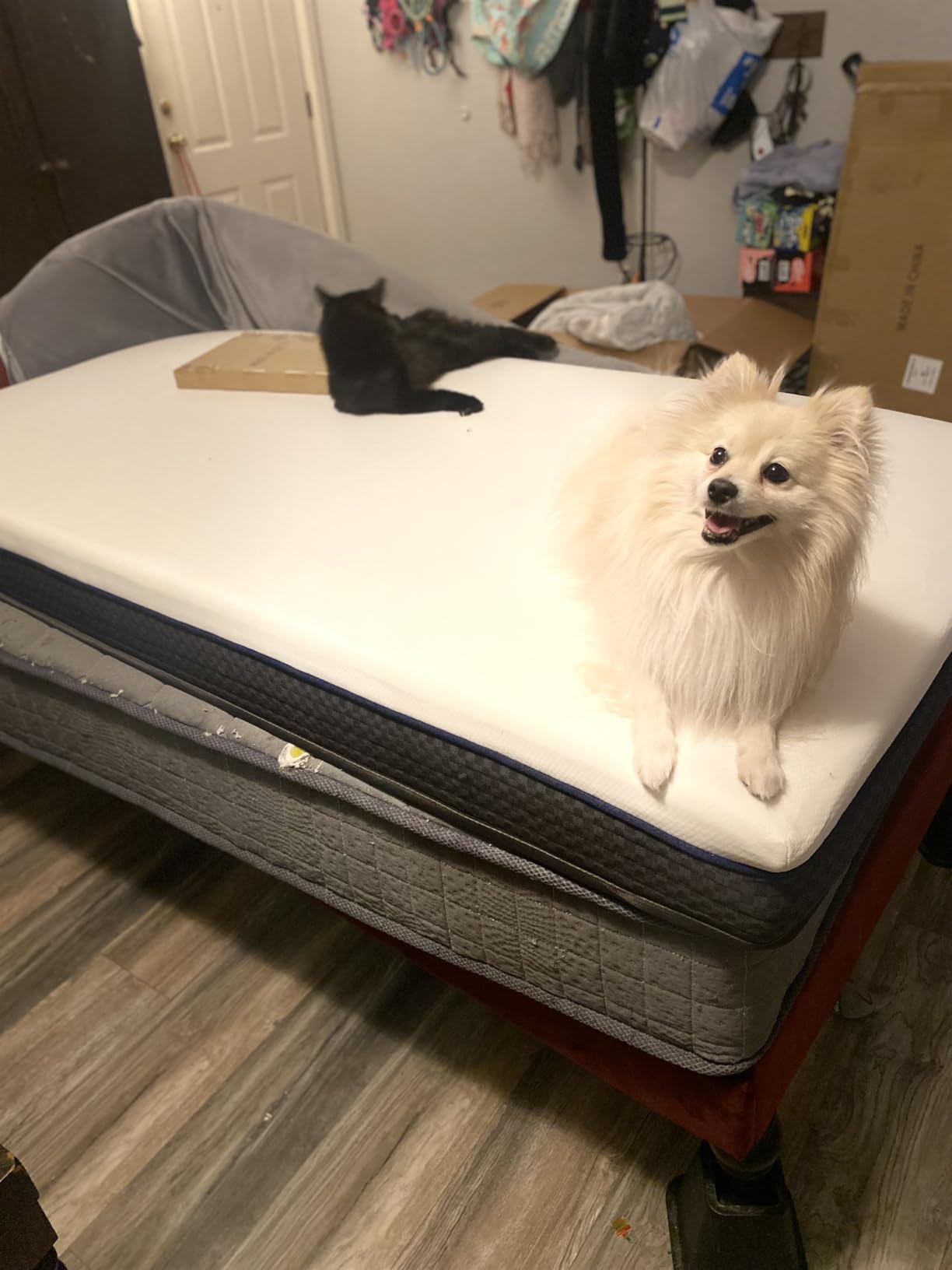 Firm Queen Mattress - 14 Inch Memory Foam Mattress Queen with Orthopedic Lumbar Support - Motion Isolation & Cool Sleep, CertiPUR-US Certified, Assembled in USA customer photo 1