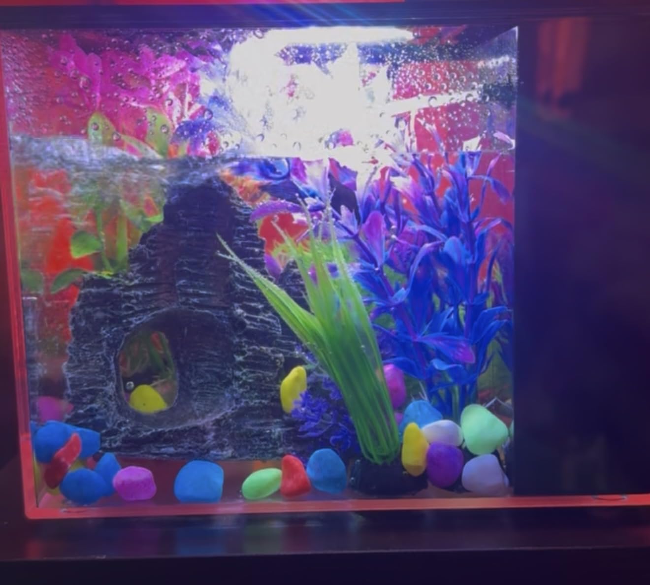 Vehipa 3.7L (1 Gal) Betta Fish Aquarium, Acrylic Small Fish Tank Kit White | Water Filter Pump & LED Light, Ideal for Small Fish, Plants and Shrimp customer photo 2