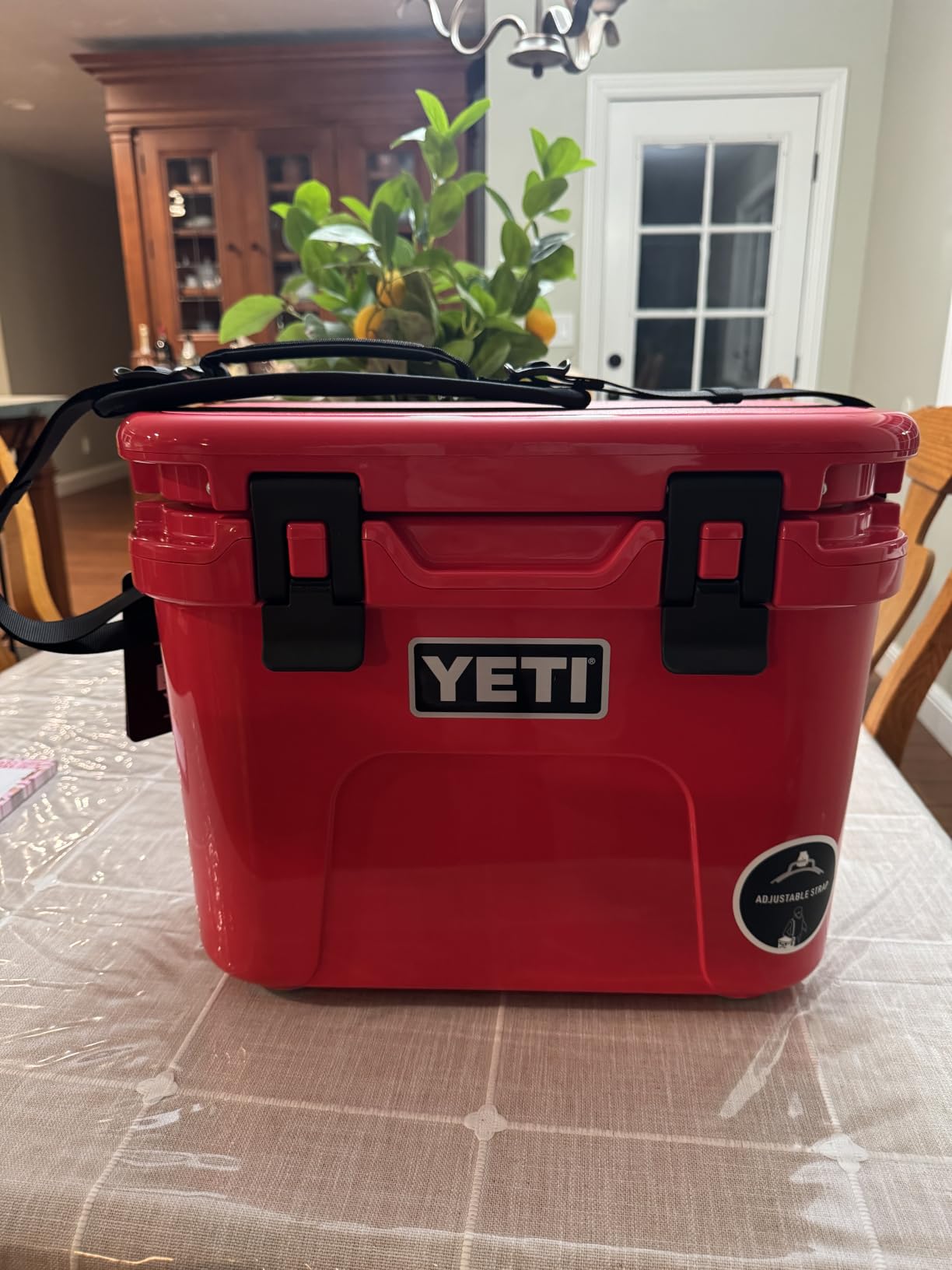 YETI Roadie 15 Hard Cooler with DoubleDuty Shoulder Strap | Compact, Durable, and Portable Insulated Ice Chest, Keeps Ice All Day, Fits 22 cans (only) or 16 lbs of ice (only) customer photo 2