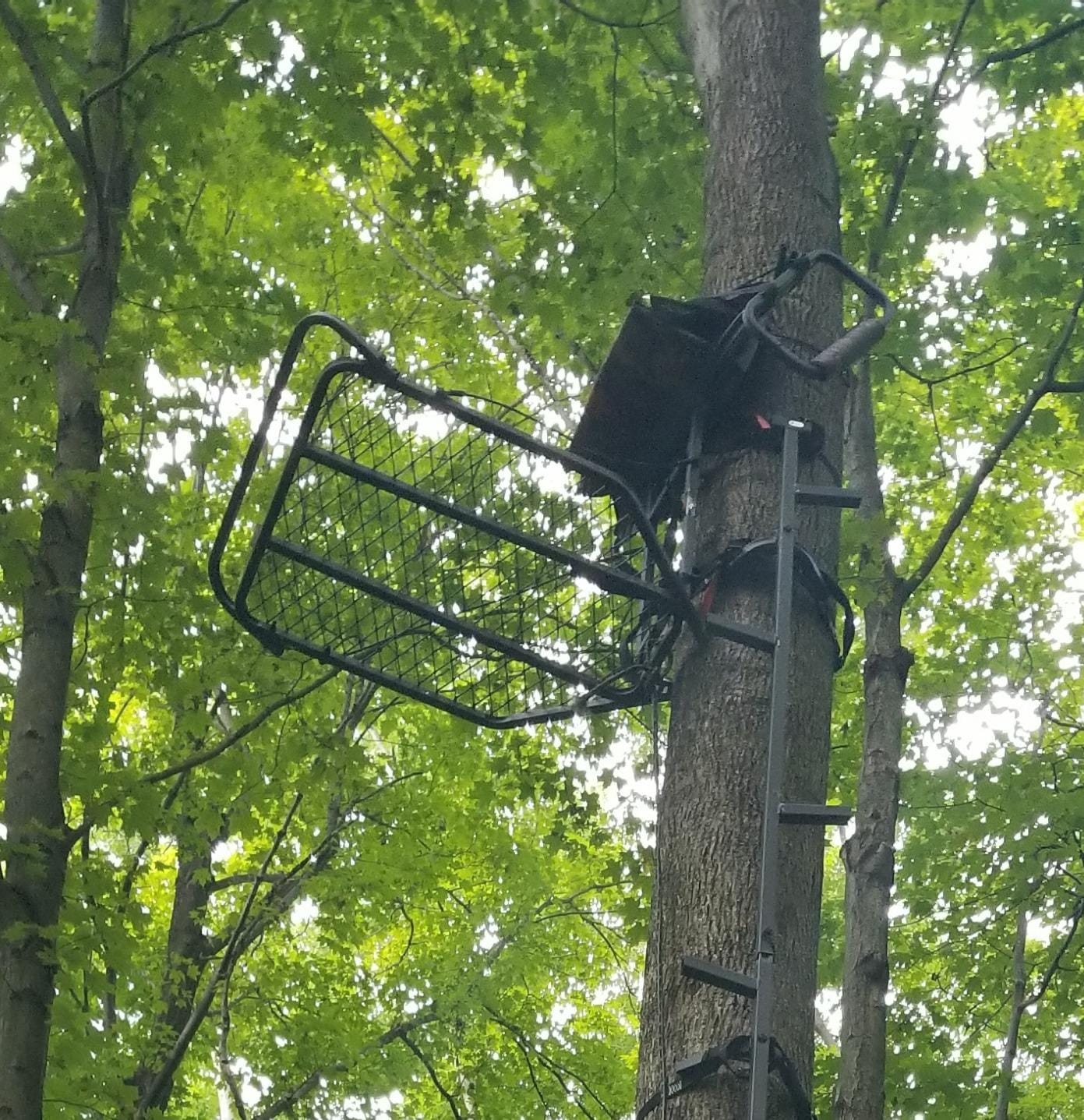 Guide Gear Deluxe Hang-On Tree Stand Chair for Hunting Cushion Seat customer photo 1