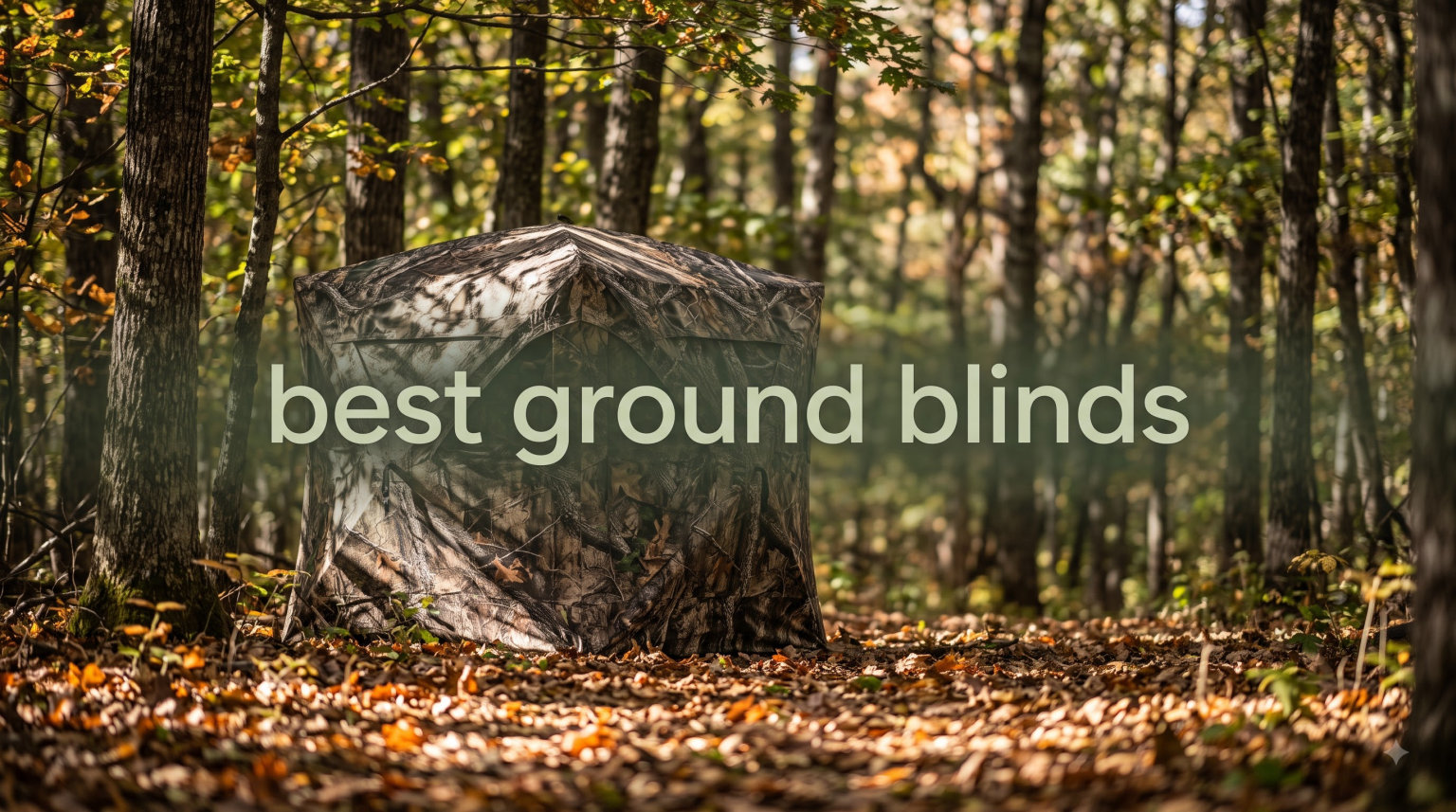 best ground blinds