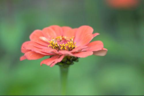 Canon TS-E 90mm f/2.8 Tilt Shift Lens for Canon SLR Cameras, Black - 2544A003 customer photo 2