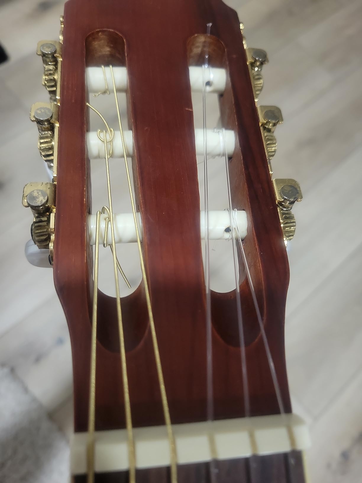 Ernie Ball Folk Nylon Clear & Gold Ball-End 80/20 Bronze Acoustic Guitar Strings, 28-42 Gauge (P02069) customer photo 1