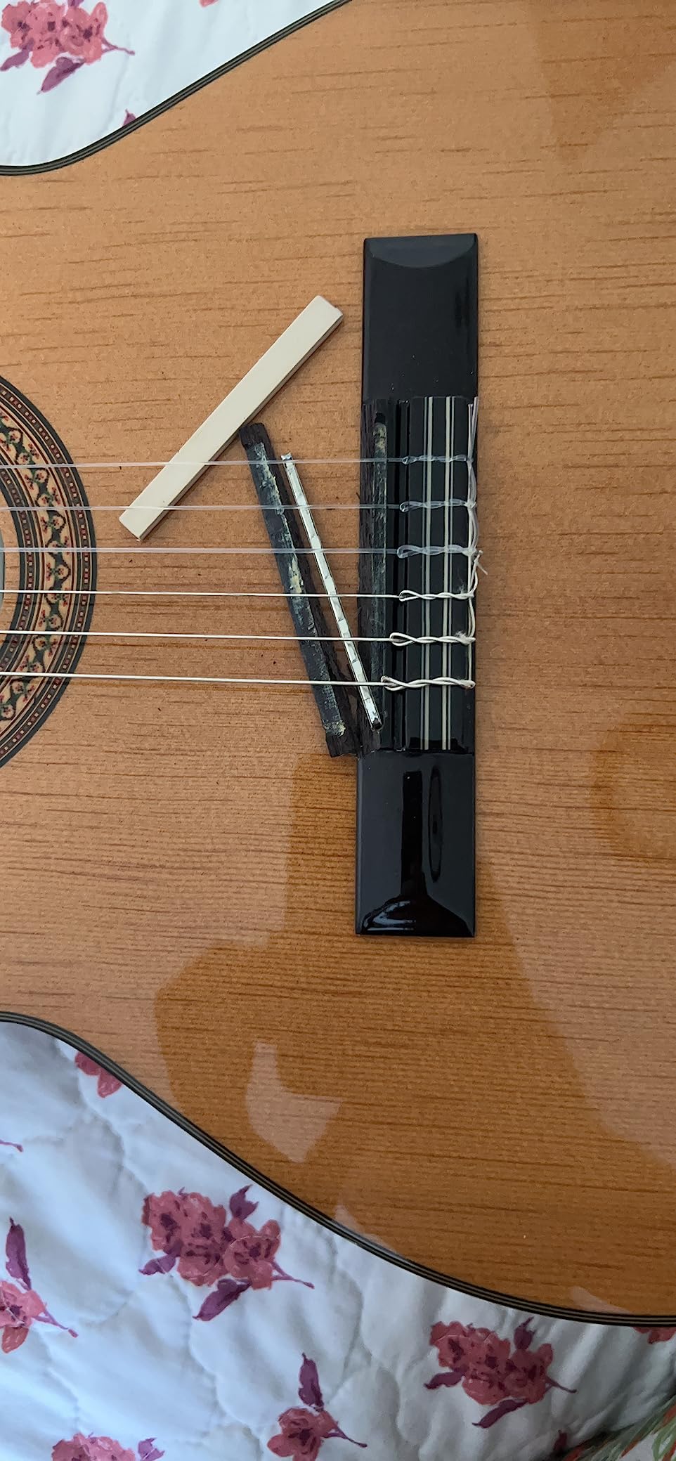 Ibanez 6-String Classical Guitar, Right, Natural customer photo 2