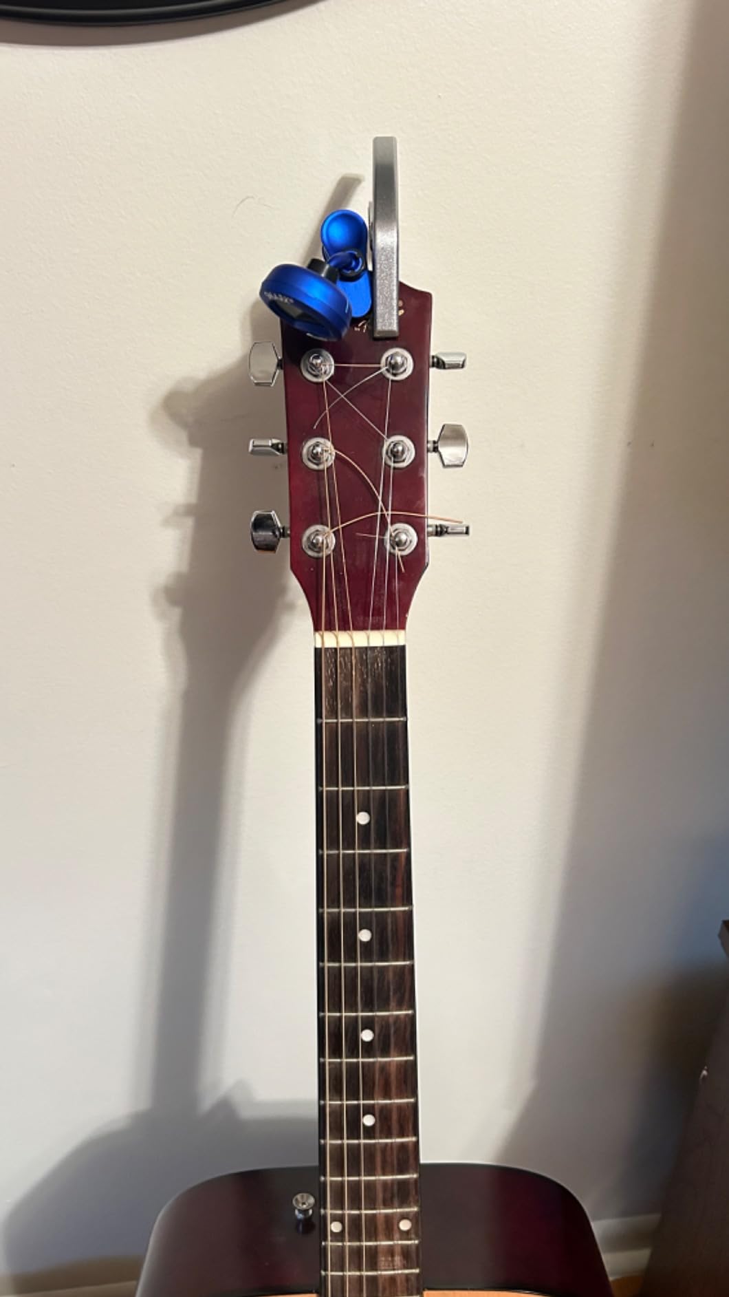 Ernie Ball Earthwood Extra Light 80/20 Bronze Acoustic Guitar Strings, 10-50 Gauge (P02006) customer photo 1