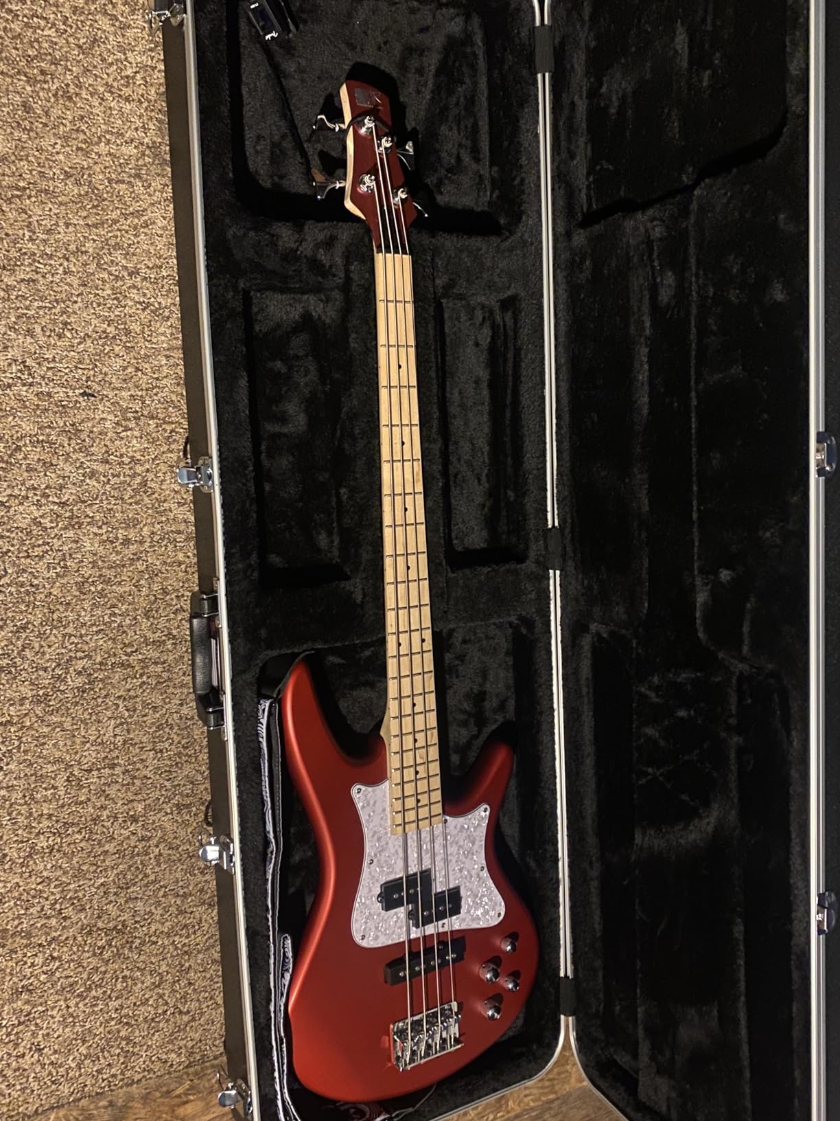 Gator Cases Deluxe ABS Molded Guitar Case for Electric Bass Guitars (GC-BASS) customer photo 1