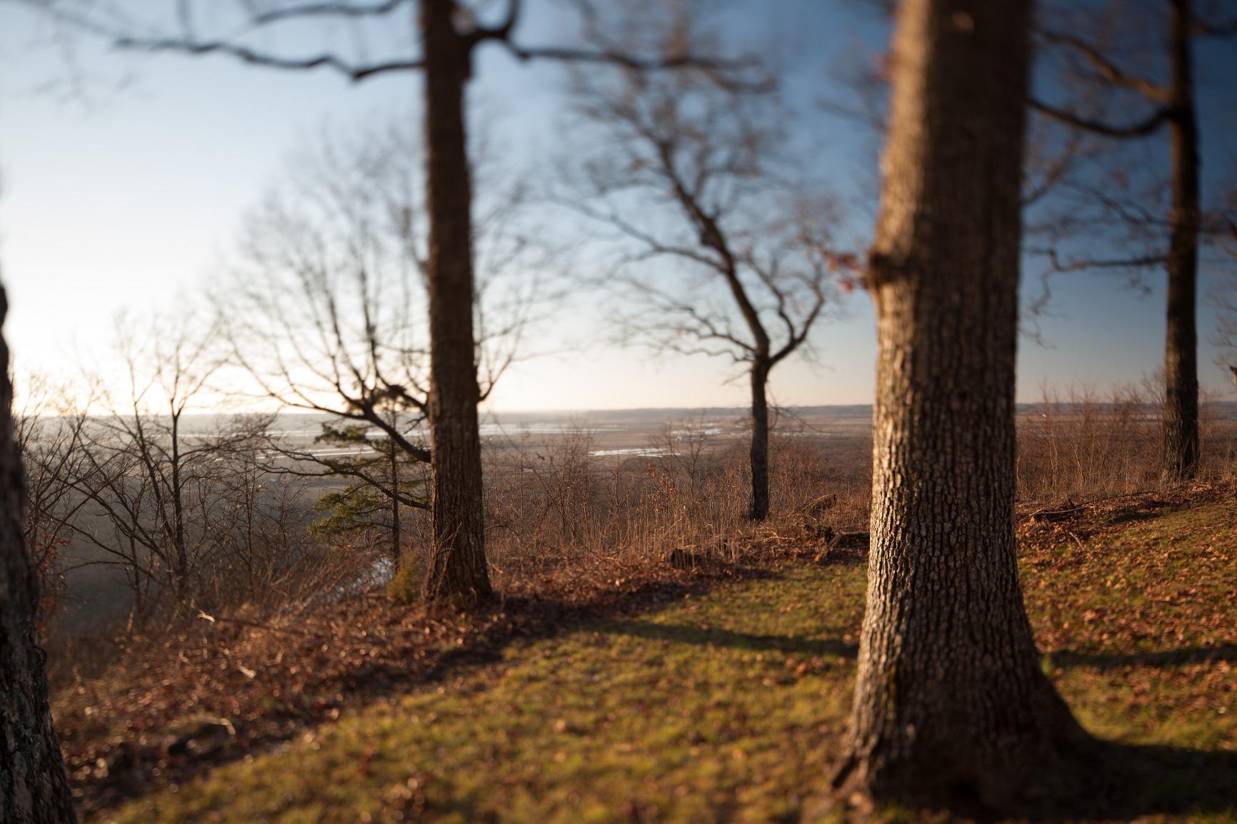 Canon TS-E 24mm f/3.5L II Ultra Wide Tilt-Shift Lens for Canon Digital SLR Cameras customer photo 2