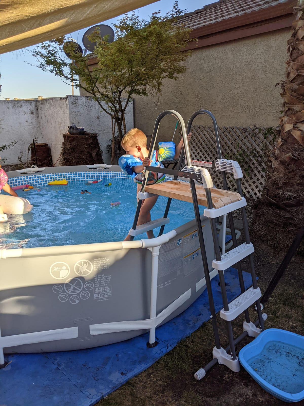 Intex Deluxe Pool Ladder with Removable Steps for 42in & 36in Depth Pools customer photo 2