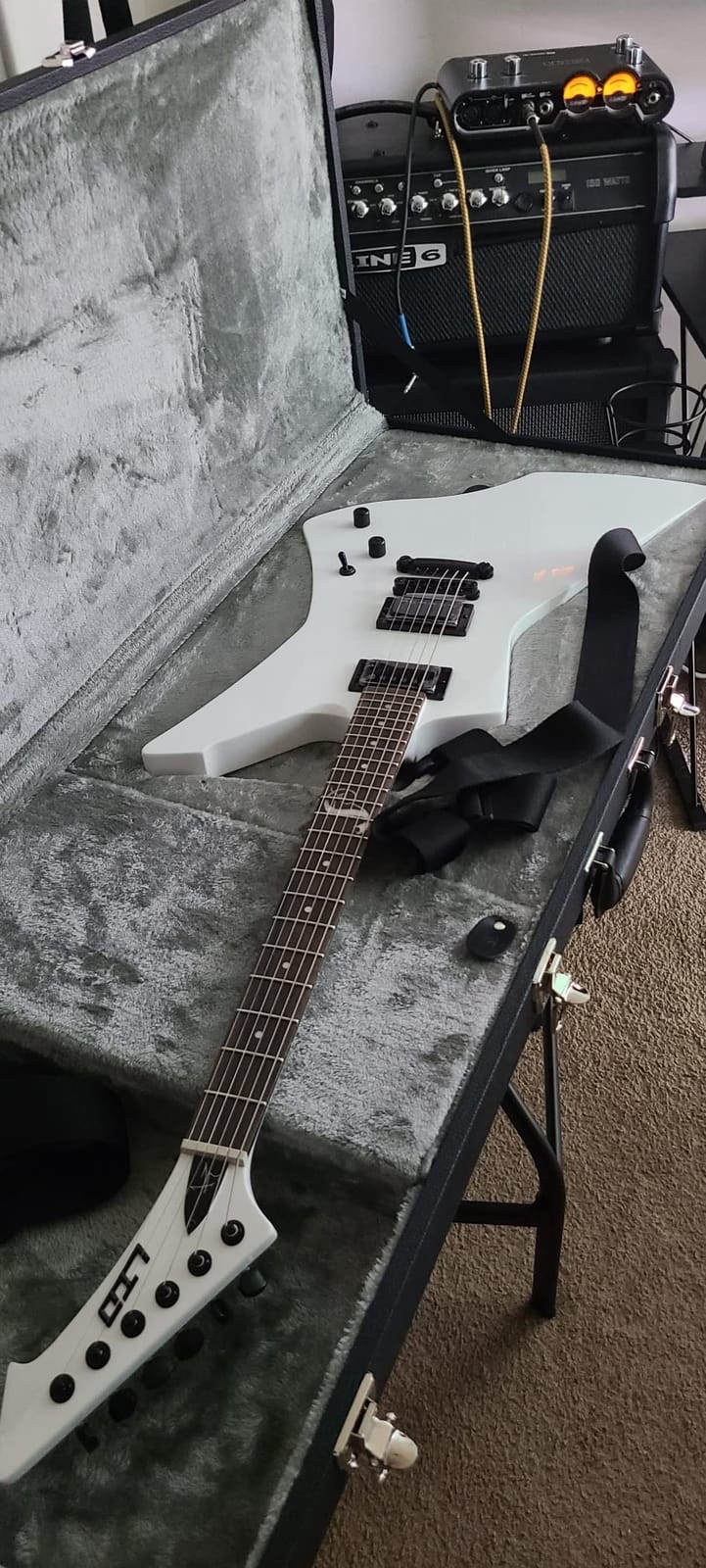ESP LTD James Hetfield Signature Snakebyte - Snow White customer photo 2