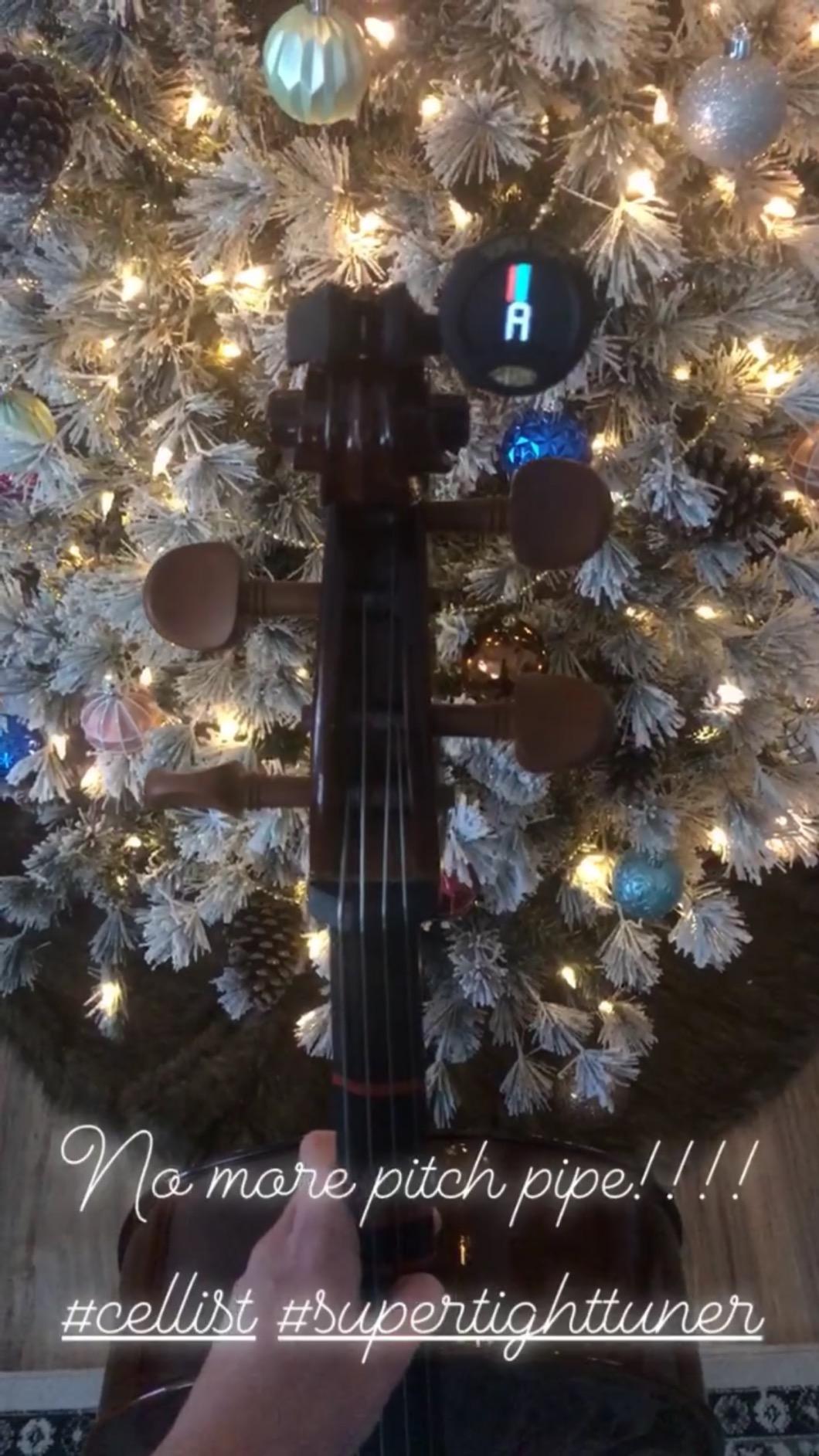 Snark SN-8 Super Tight All Instrument Tuner customer photo 2