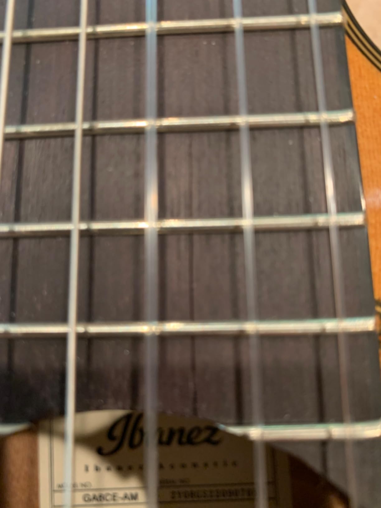 Ibanez 6 String Classical Guitar, Right, Natural (GA6CE) customer photo 2