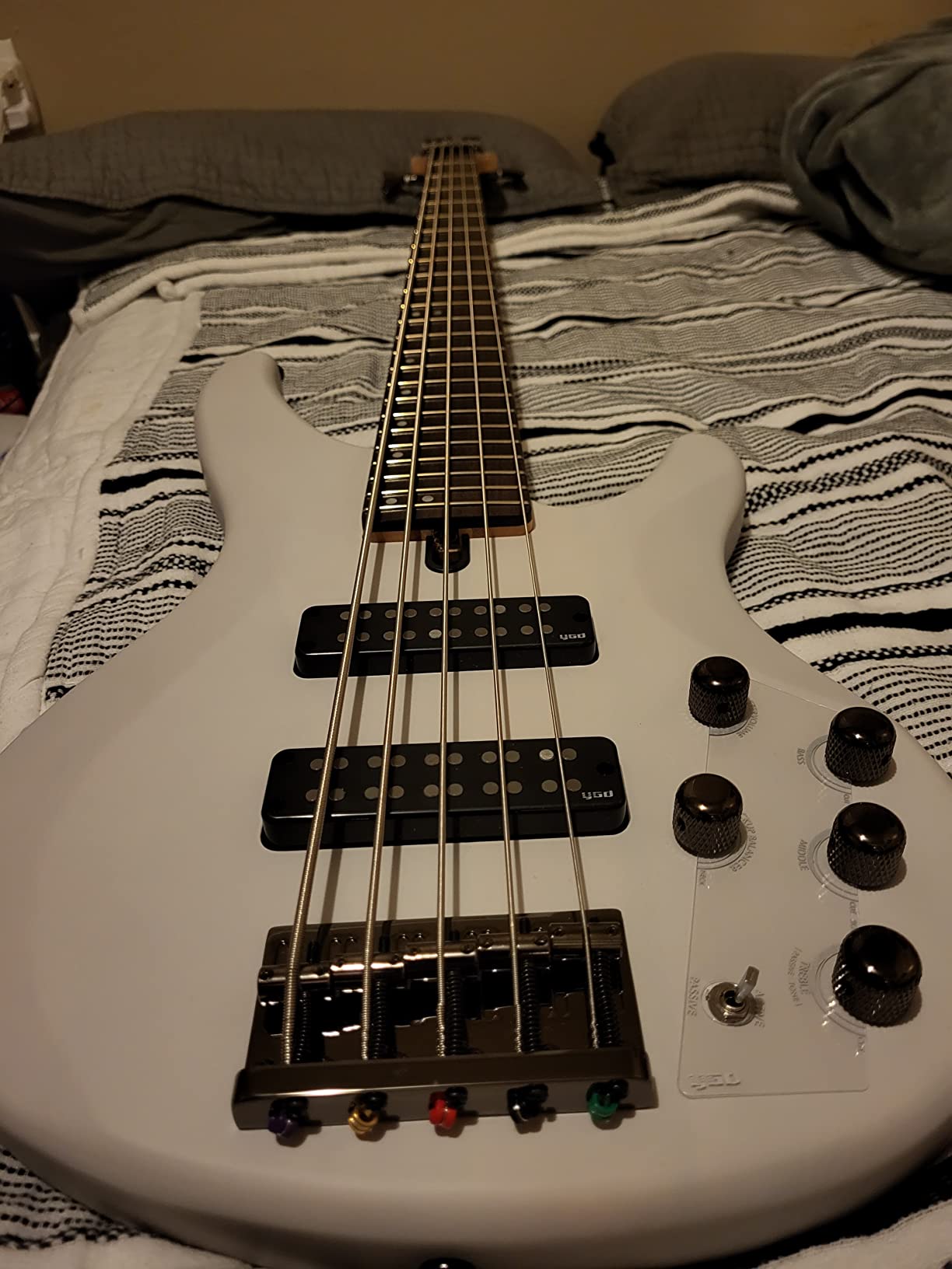 Yamaha TRBX505 5-String Electric Bass Guitar, Translucent Black customer photo 2