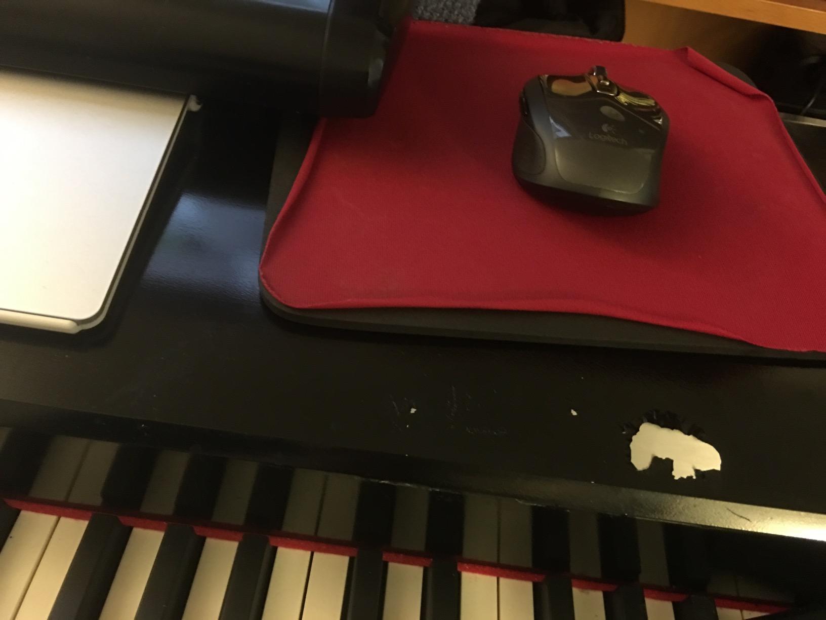 Kawai VPC1 Virtual Piano Controller customer photo 1