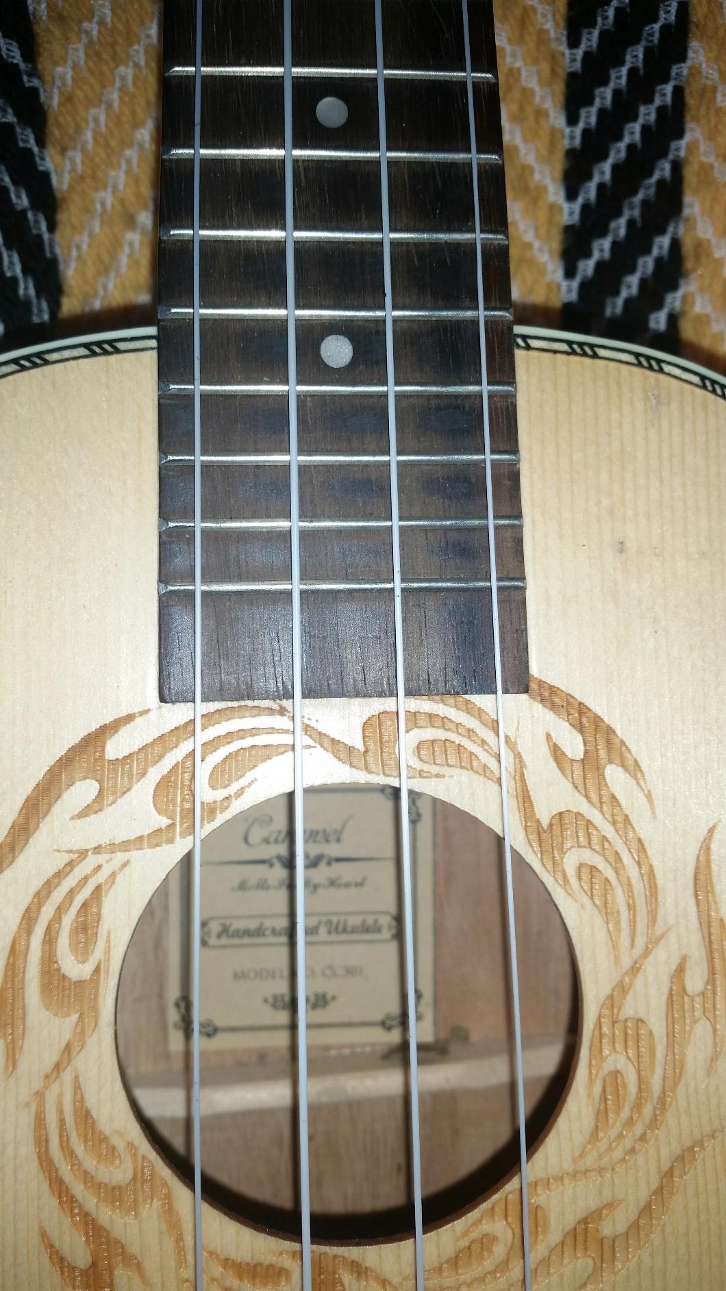 Aquila 103U Concert Ukulele Strings Set customer photo 1