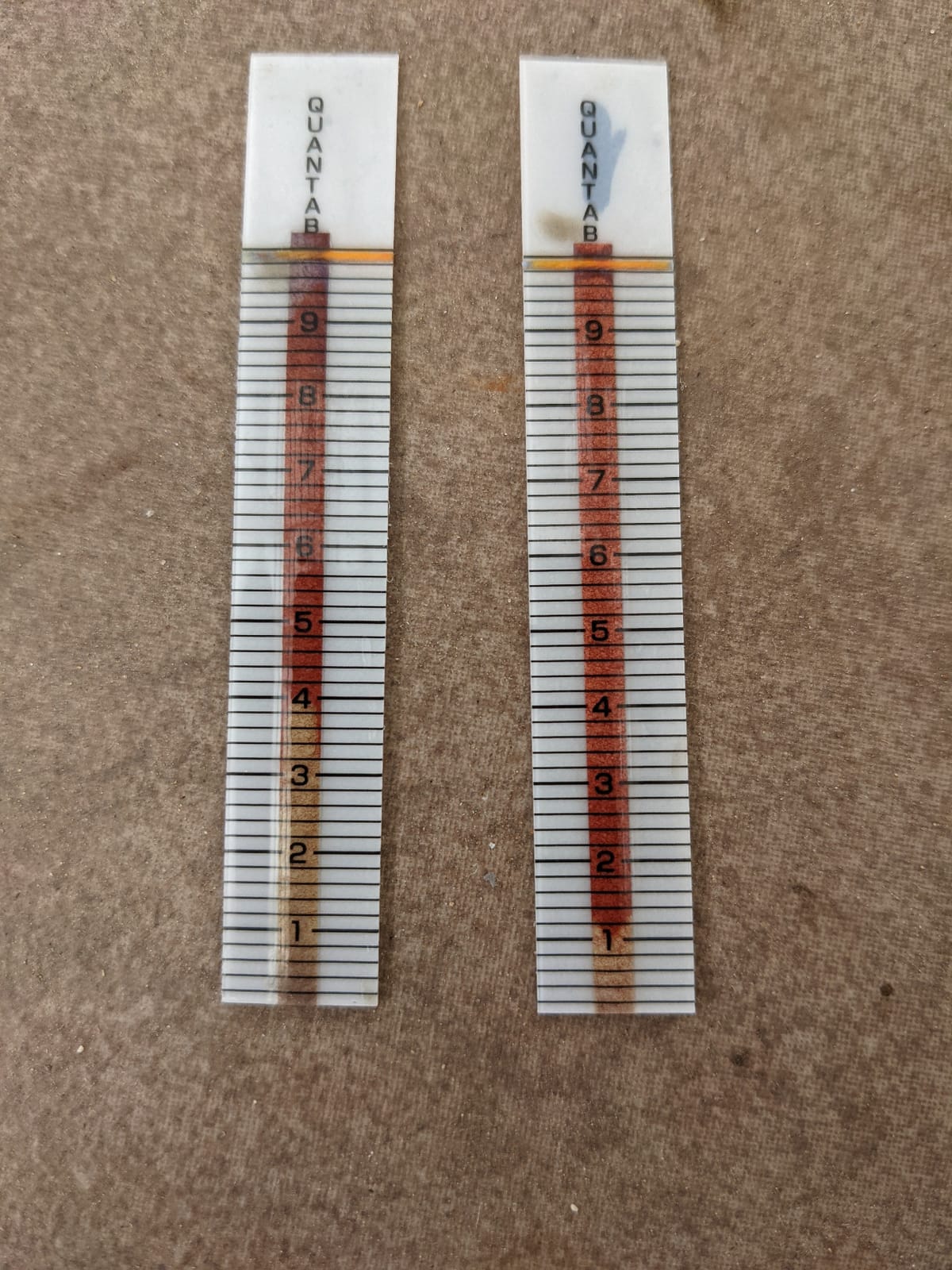 AquaChek Salt System Test Kit - for Pools and Spas - Salt Water Pool Test Strips for Sodium Chloride - Test Kit Includes Yellow 4-Way (25 Strips Each) and White Salt Test Strips (10 Strips Each) customer photo 1