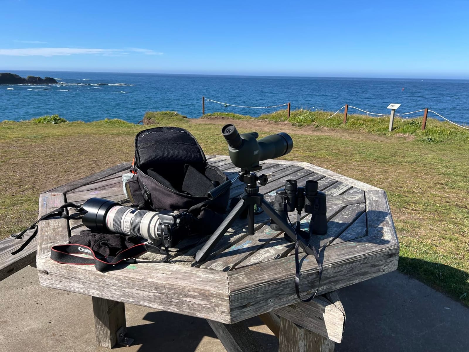 20-60x60 Angled Spotting Scopes for Target Shooting/Hunting/Birding customer photo 2