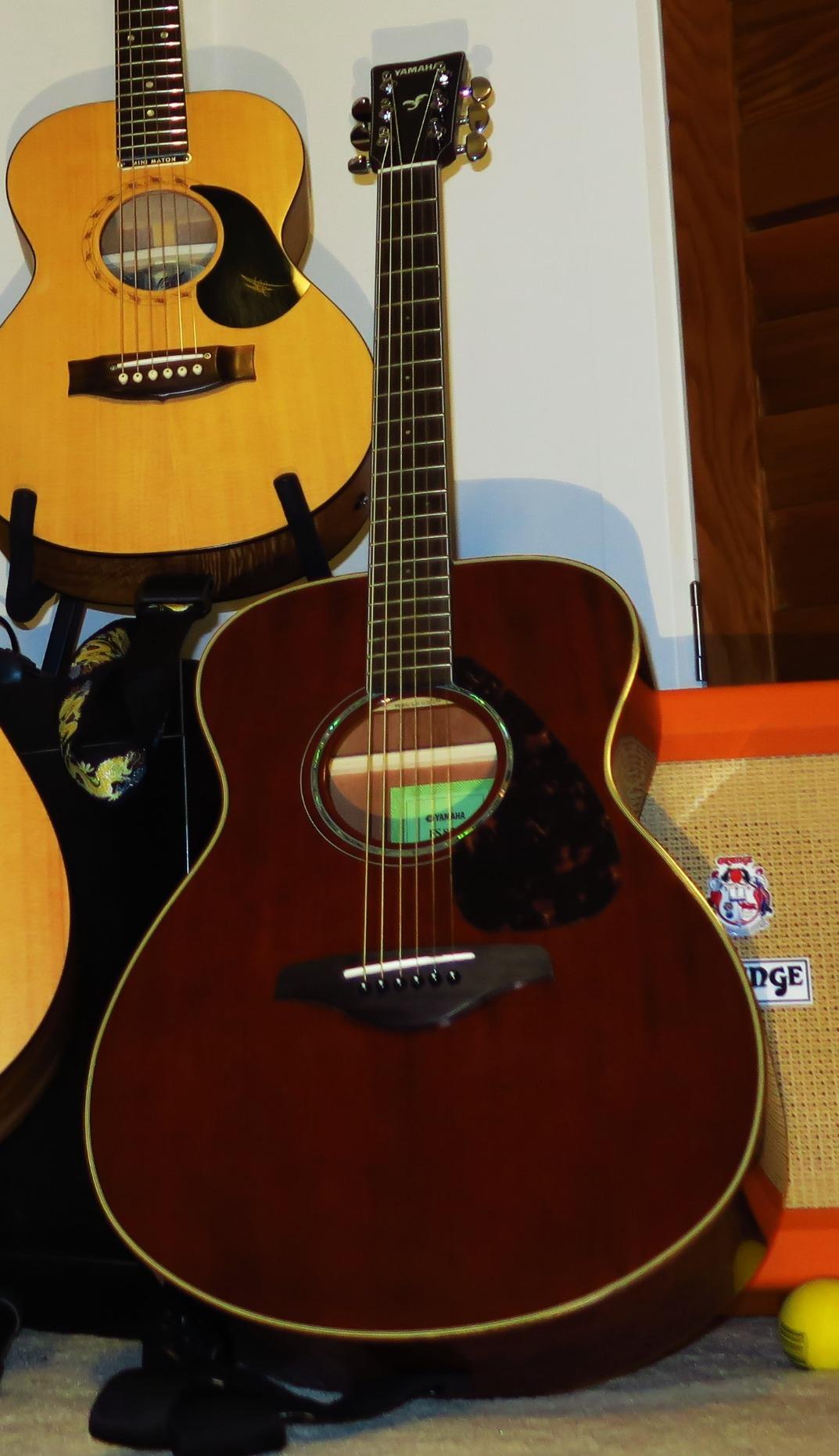 FG850 Solid Top Acoustic Guitar, Mahogany customer photo 2