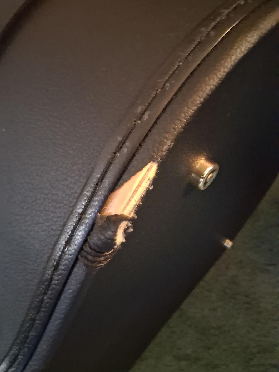 Yamaha Guitar Case customer photo 2