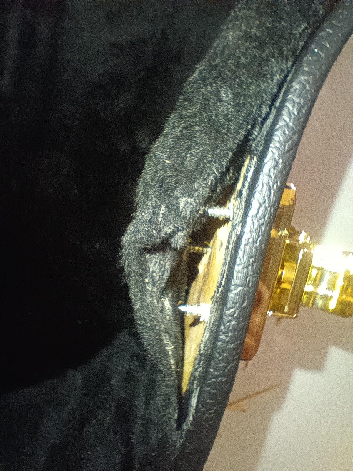 Yamaha Guitar Case customer photo 2