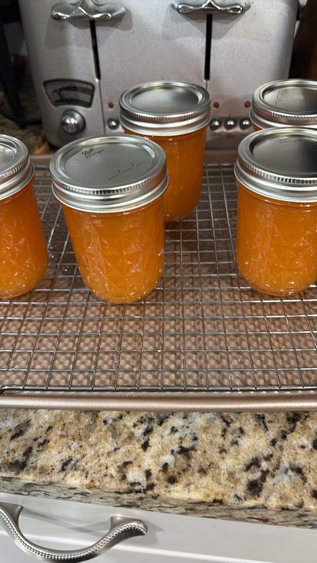 Ball Electric Canner customer photo 1
