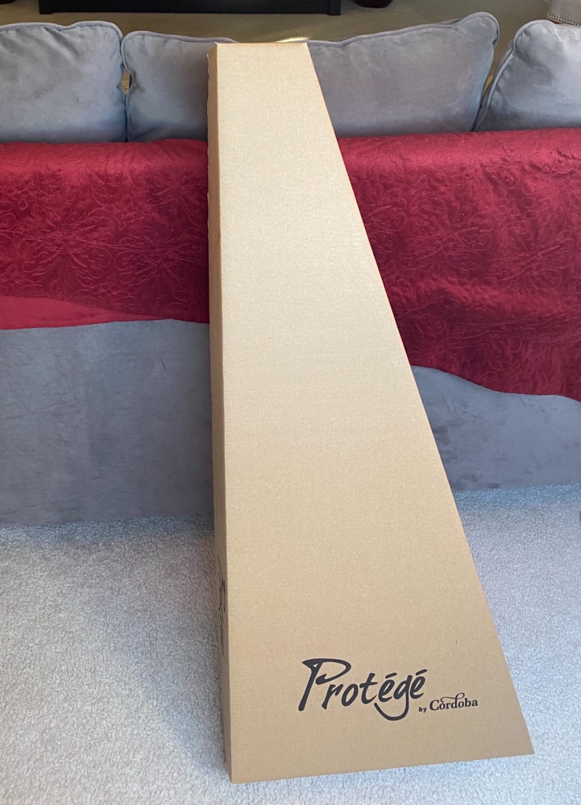 Cordoba C1M Classical Acoustic Nylon String Guitar, Protégé Series customer photo 1