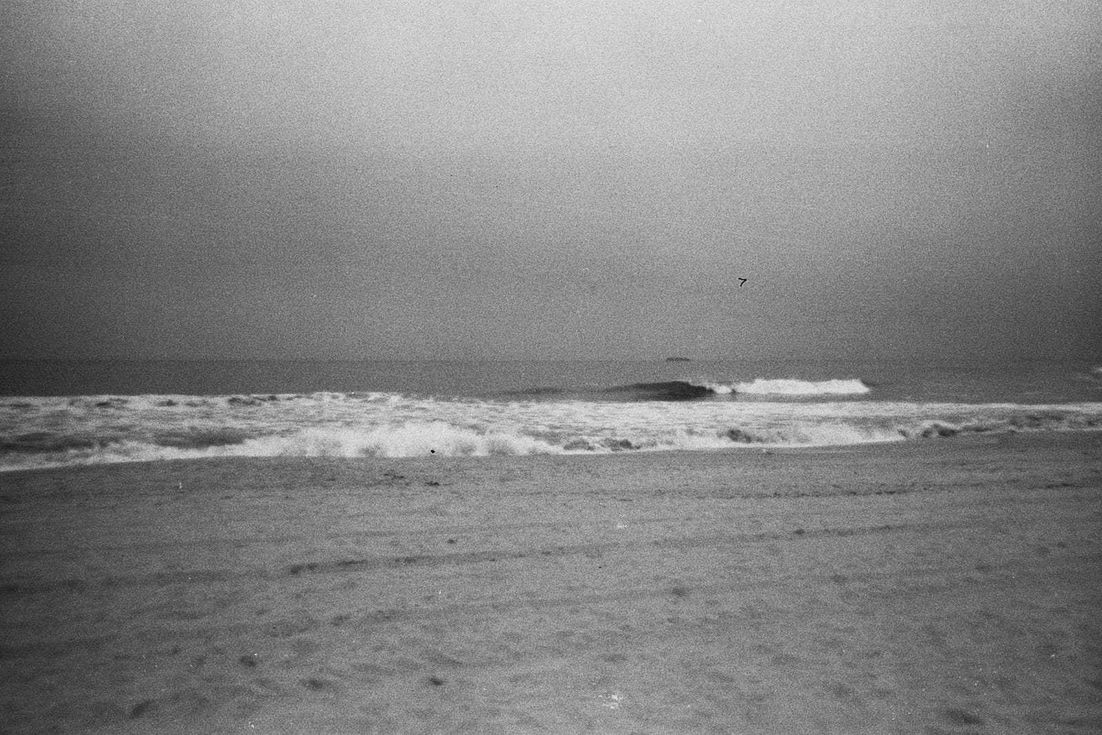 Lomography Simple Use Reloadable Film Camera Black & White Film customer photo 1