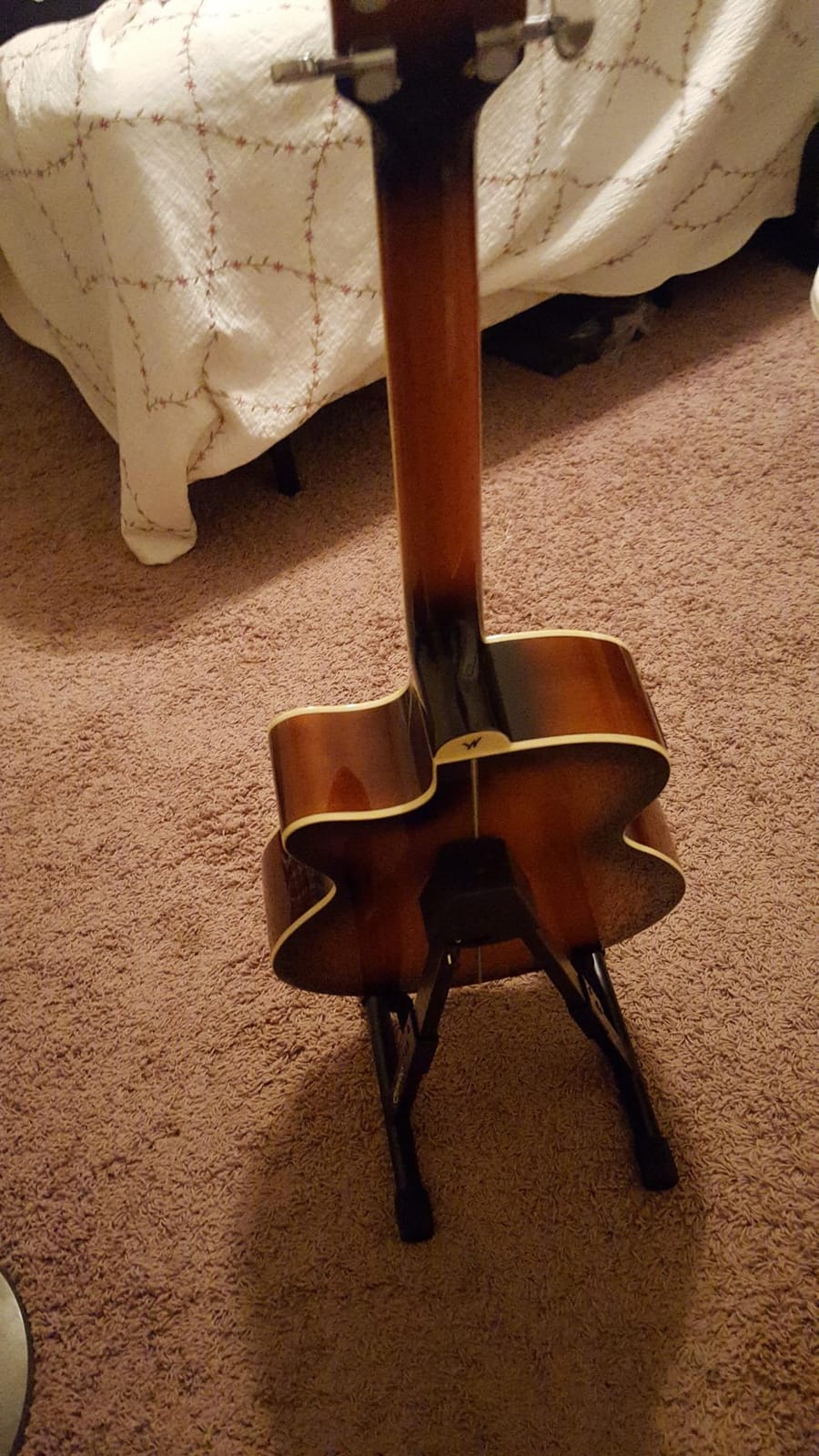 Washburn Festival EA15 Mini Jumbo Cutaway, Acoustic Electric Guitar, Tobacco Burst customer photo 1