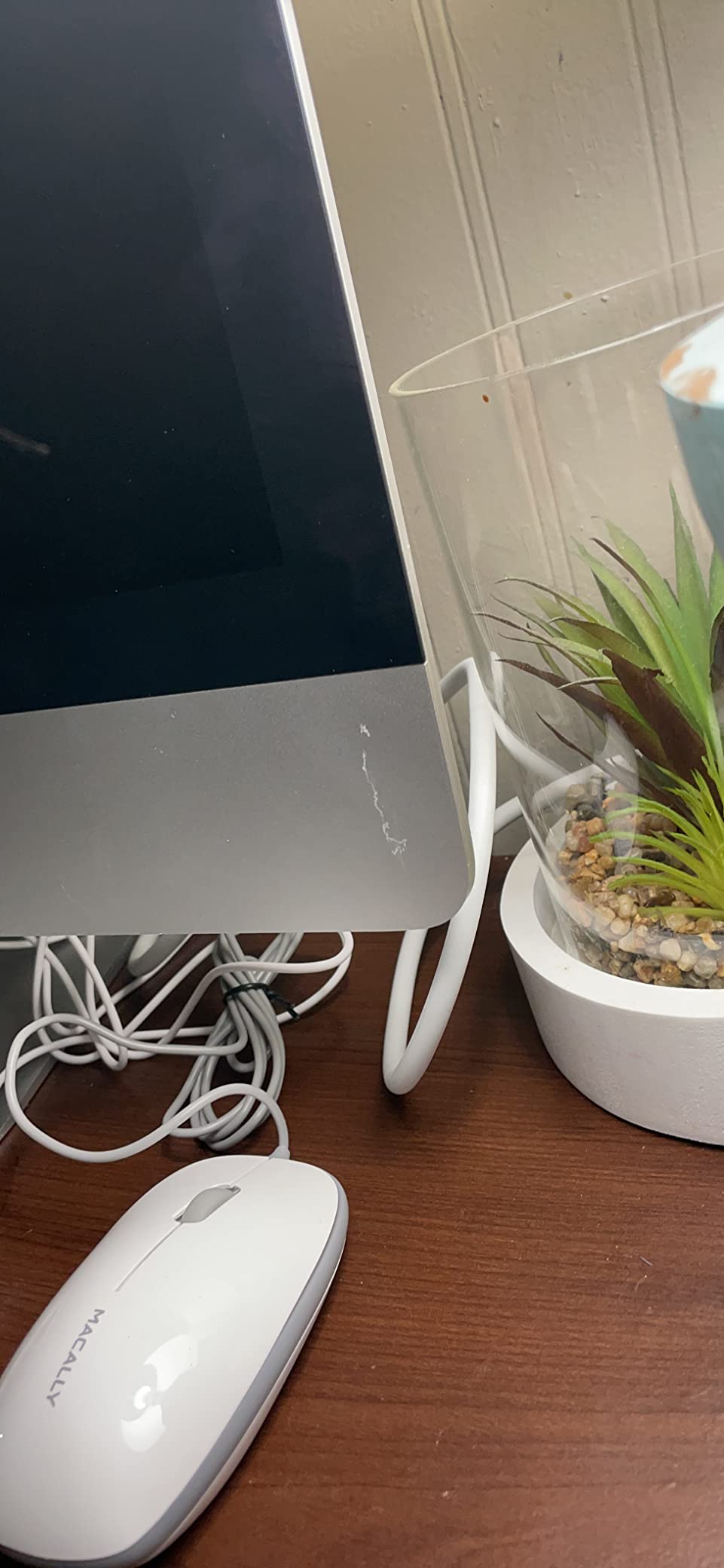 Apple 21.5