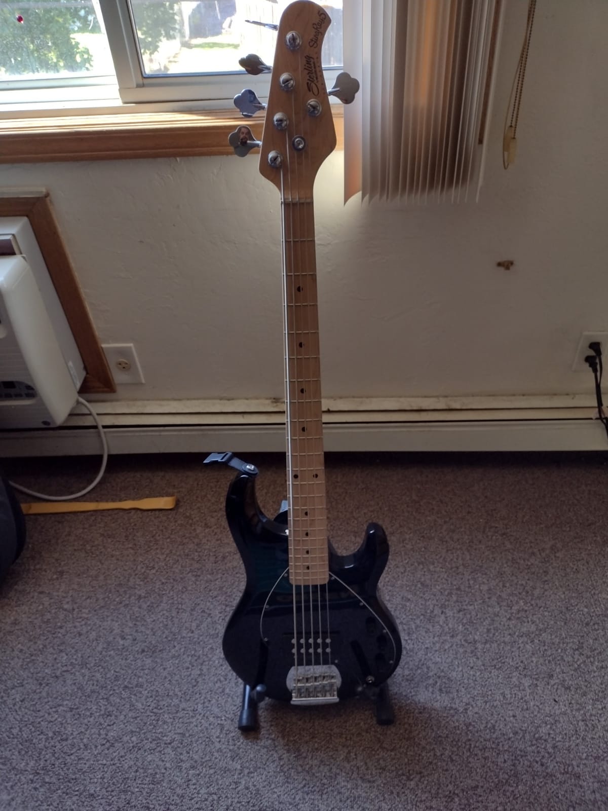 Sterling by Music Man StingRay Ray5 Bass Guitar in Black, 5-String customer photo 2