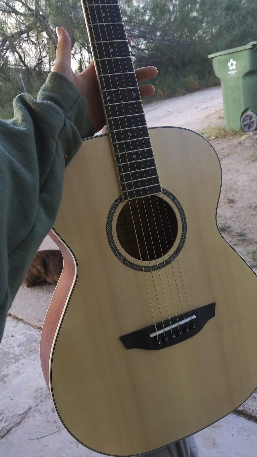 Orangewood Dana Mini/Travel Acoustic Guitar with Spruce Top, Junior 3/4 Size customer photo 2
