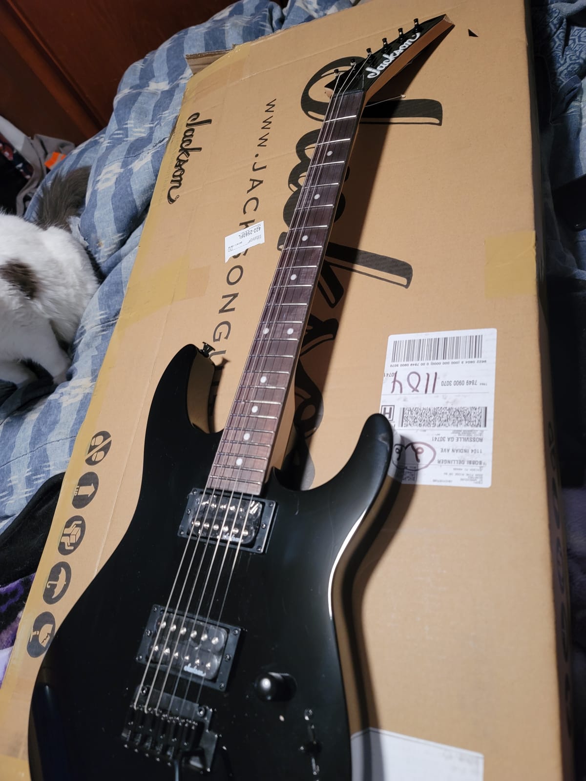 Jackson JS Series Dinky JS11 - Black with Amaranth Fingerboard customer photo 1