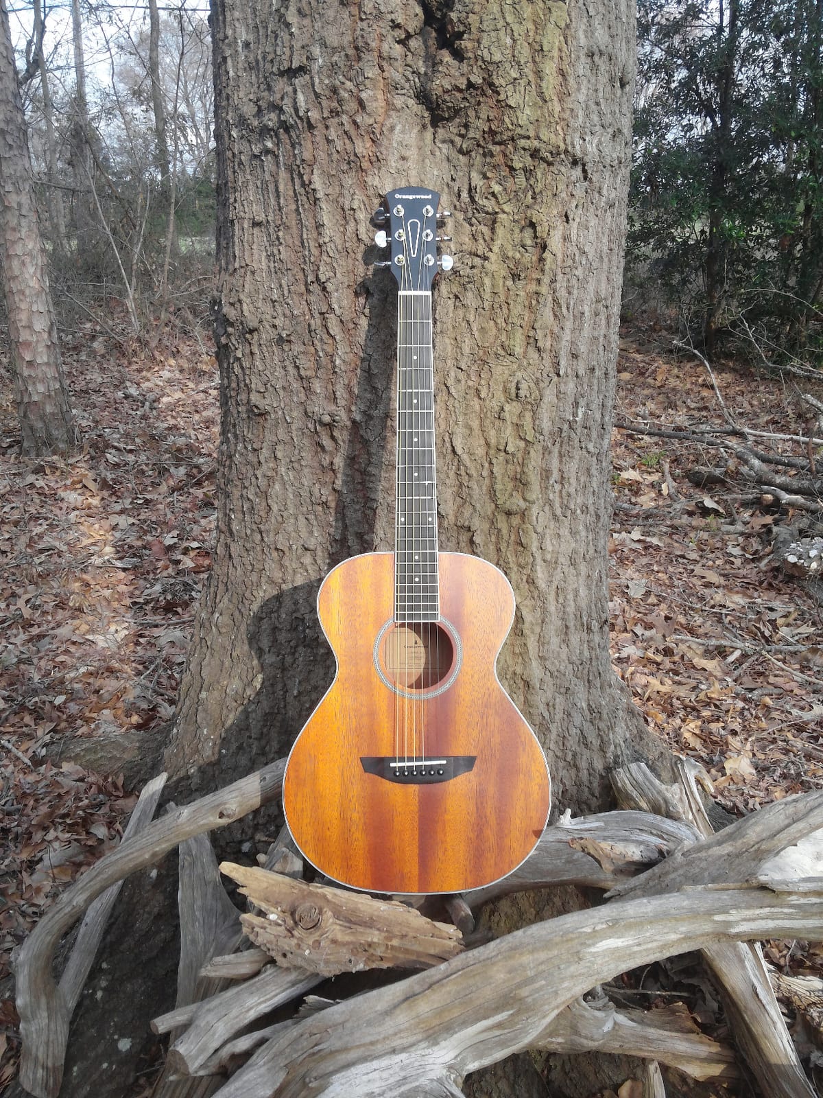 Orangewood 6 String Acoustic Guitar, Right, Mahogany (OW-DANA-M) customer photo 2