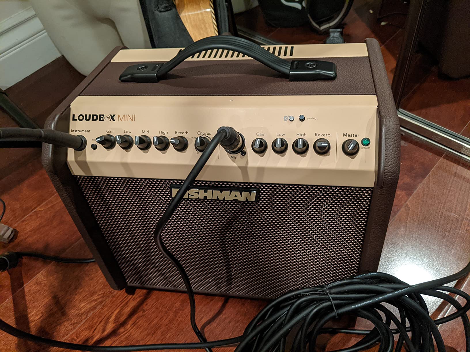 Fishman Acoustic Guitar Amplifier (PRO-LBT-500) Brown customer photo 2