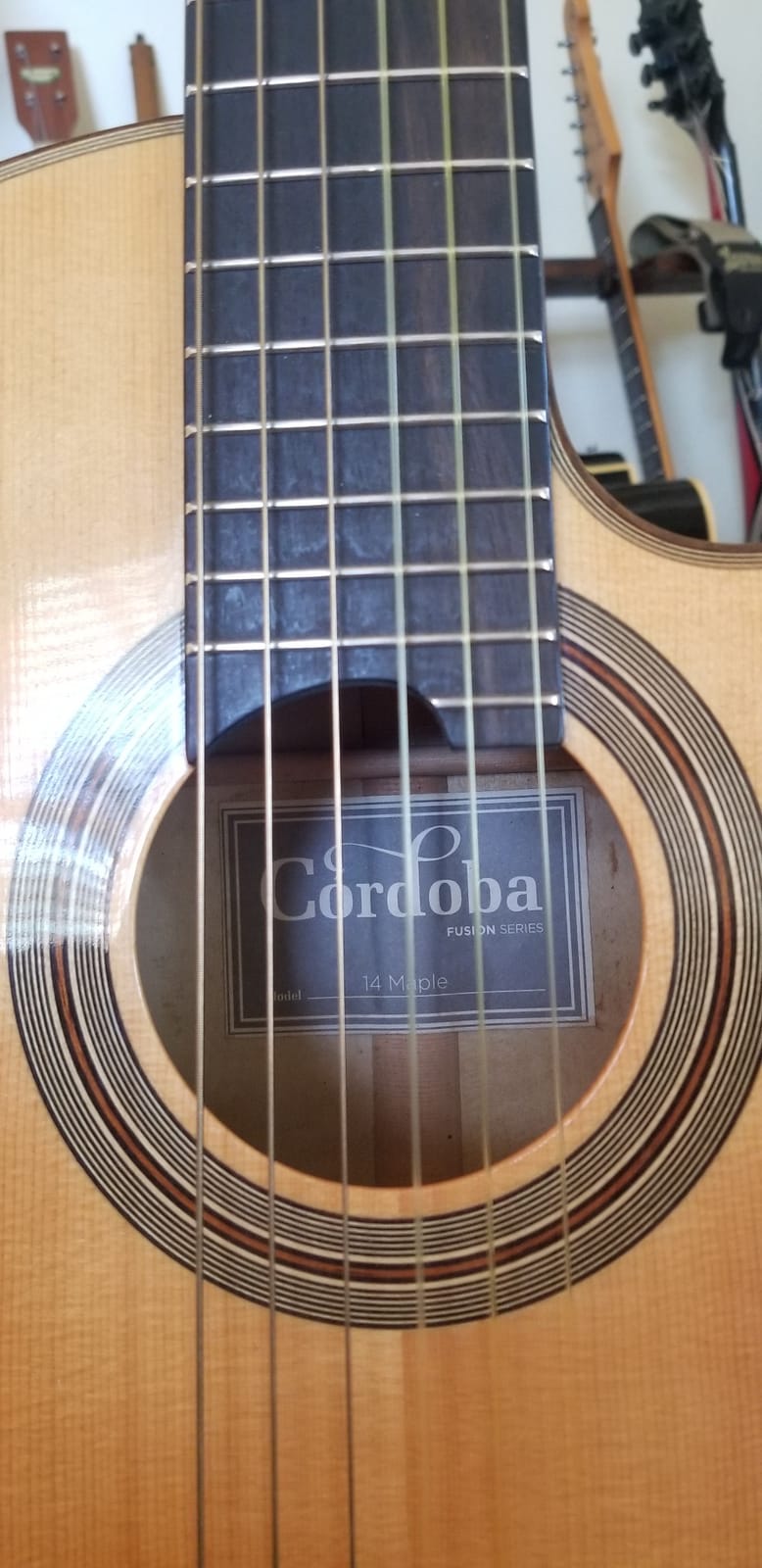 Cordoba Fusion 14 Maple Nylon String AE Guitar customer photo 1