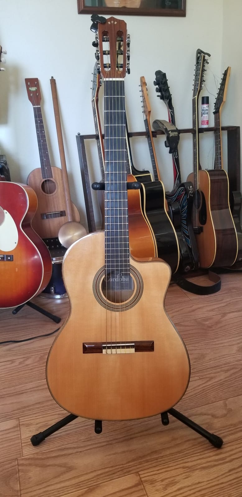 Cordoba Fusion 14 Maple Nylon String AE Guitar customer photo 2