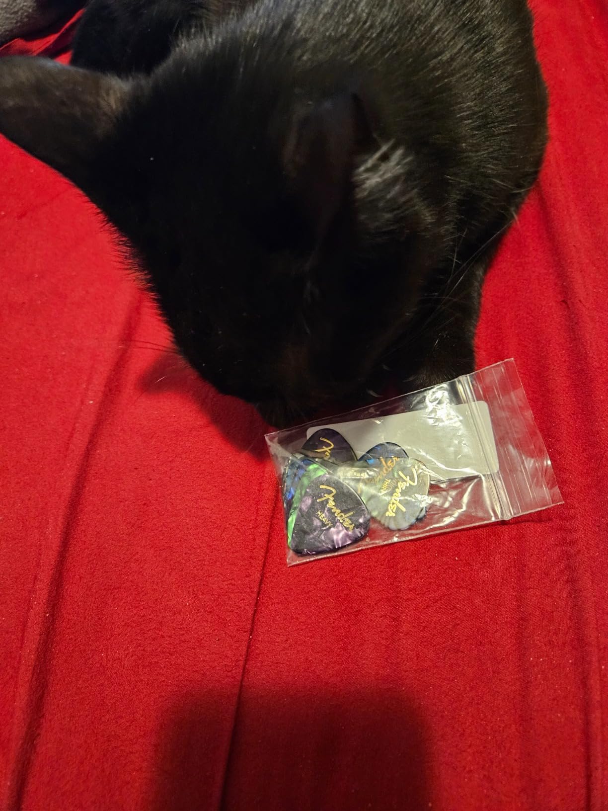 Fender Premium Picks Sampler - 12 Pack Includes Thin, Medium & Heavy Gauges (Austin Bazaar Exclusive) customer photo 2
