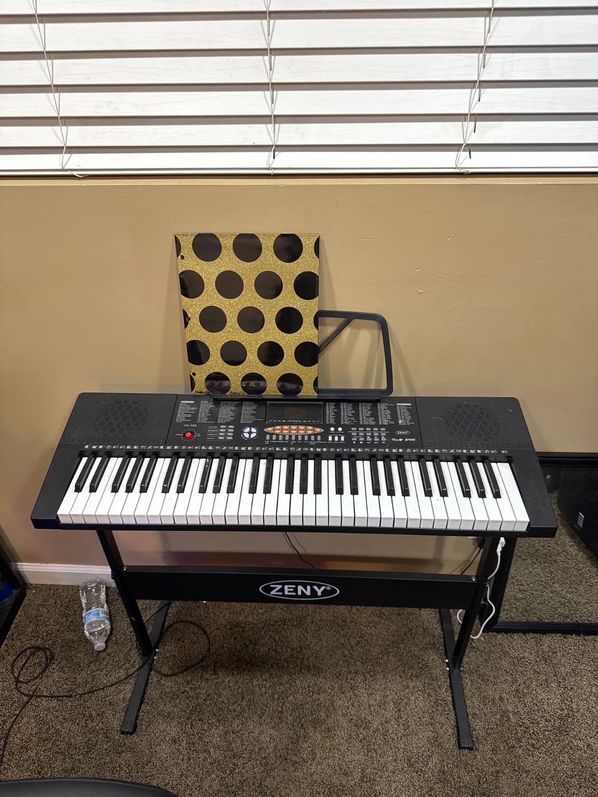 ZENY 61-Key Portable Electric Keyboard Piano customer photo 1