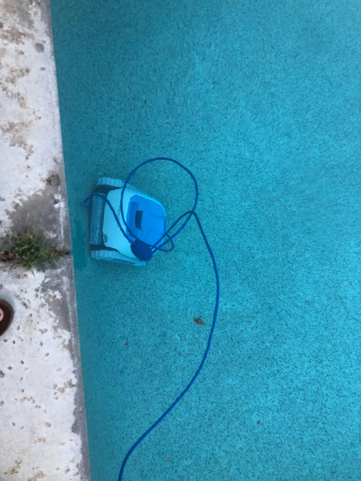 Dolphin Proteus DX3 Automatic Robotic Pool Vacuum Cleaner, Wall Climbing, Active Scrubber Brush, Ideal for In-ground Pools up to 33 FT in Length customer photo 2