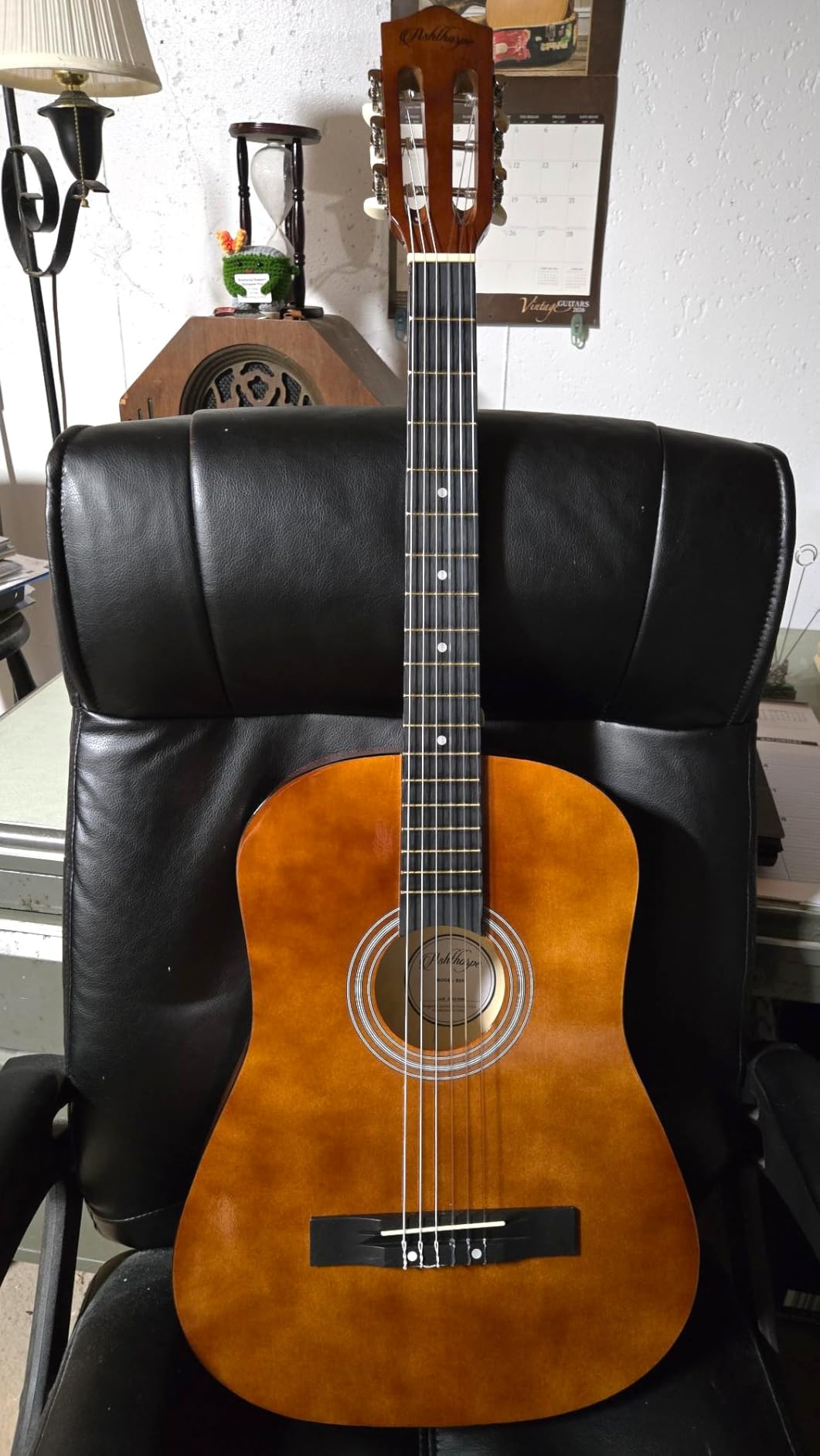 Ashthorpe 38-inch Beginner Acoustic Guitar (Blue), Starter Kit with Gig Bag, Extra Strings, Strap, Picks, and Lessons customer photo 1