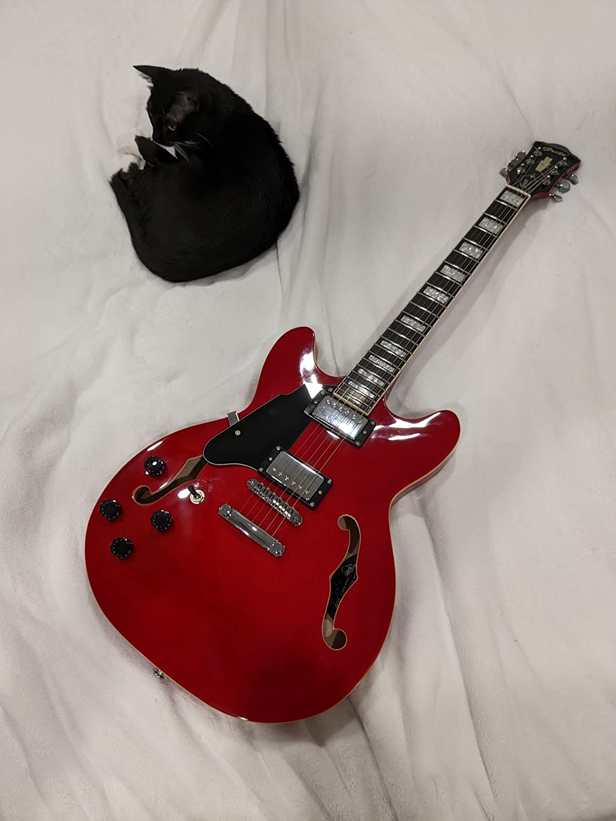 Grote Full Scale Left-Handed Electric Guitar Semi-Hollow Body Guitar Stainless Steel Frets(Cherry red) customer photo 2