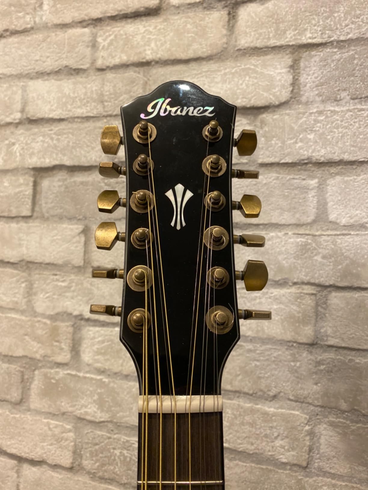 Ibanez AEG5012 12-string Acoustic-electric Guitar - Dark Violin Sunburst customer photo 1