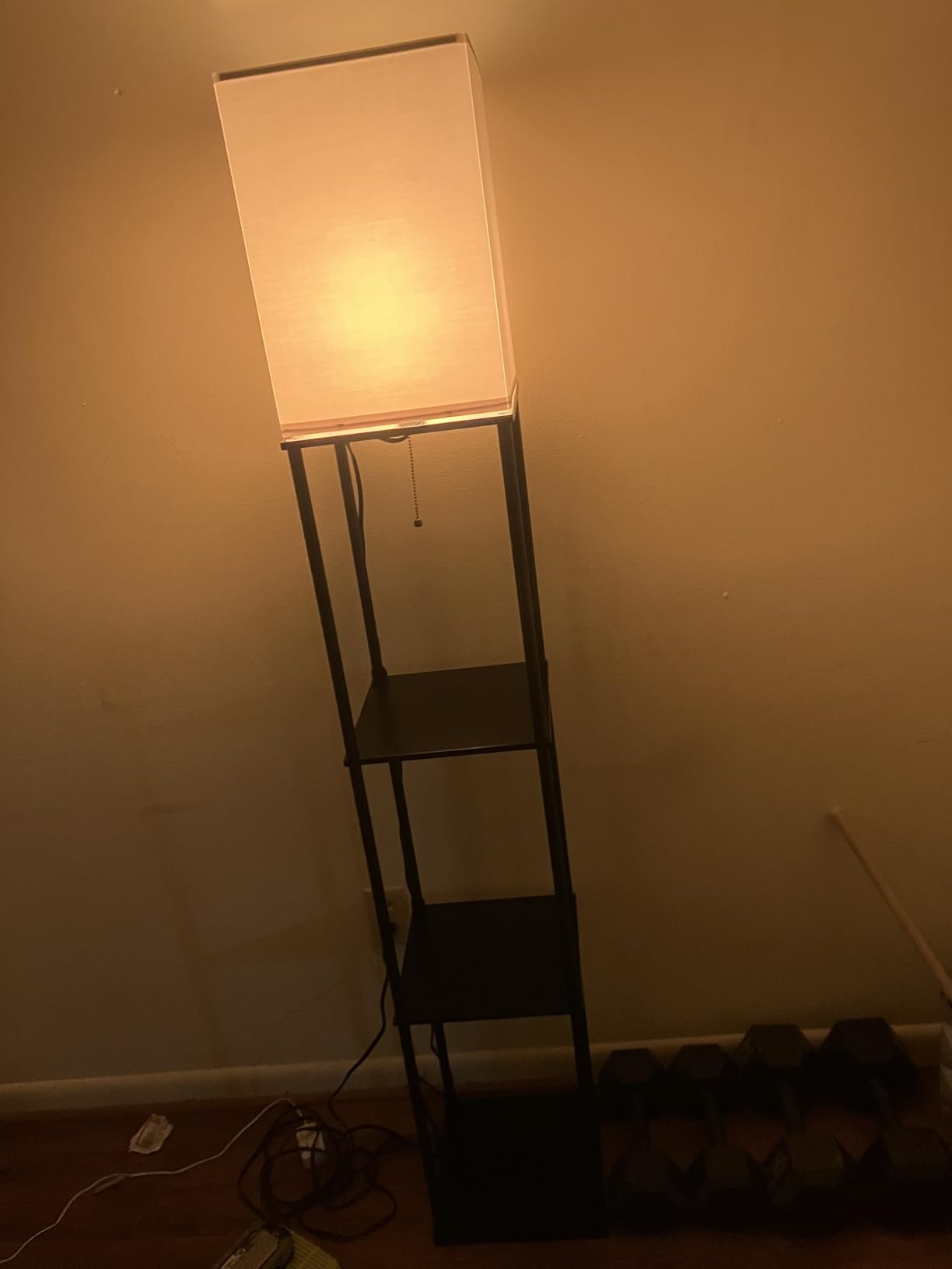 SUNMORY Floor Lamp with Shelves, Standing Lamps for Living Room, Black customer photo 1